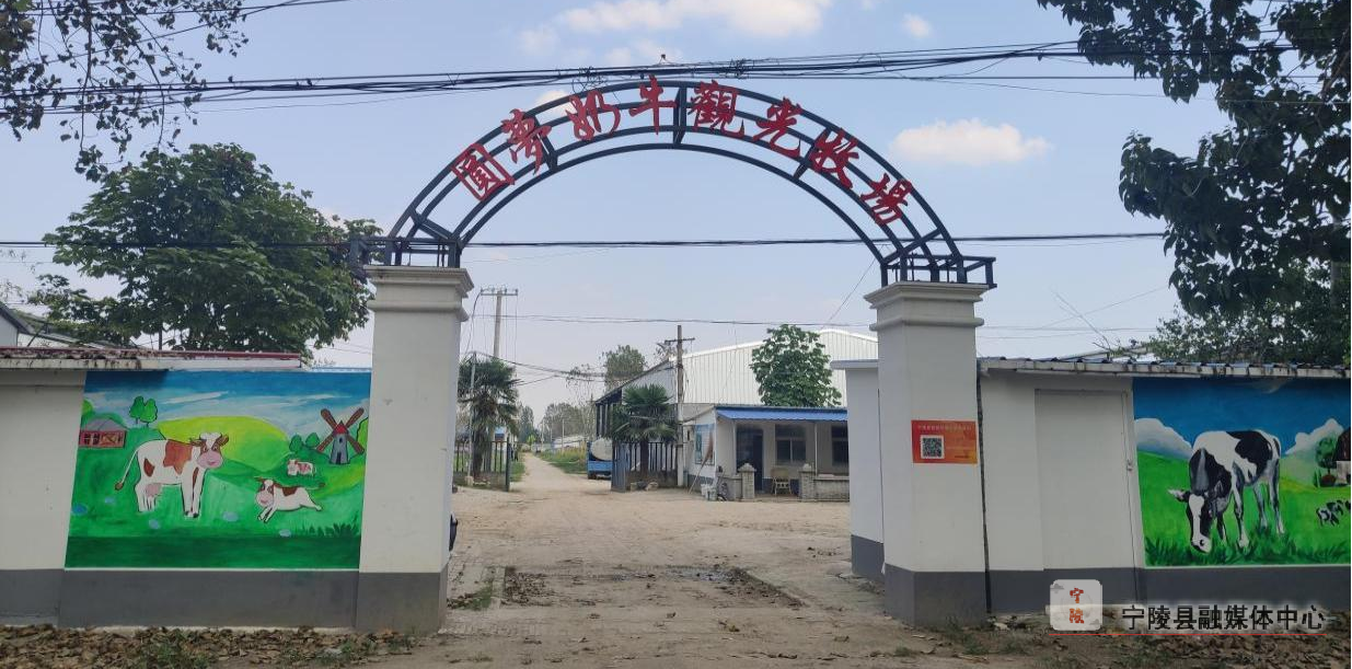 宁陵县孔集乡为创建产业兴旺星注入牛动力