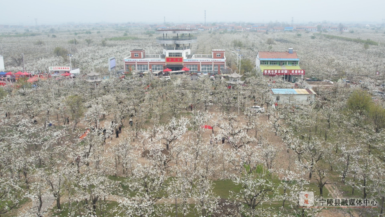 襄垣万亩花海介绍图片