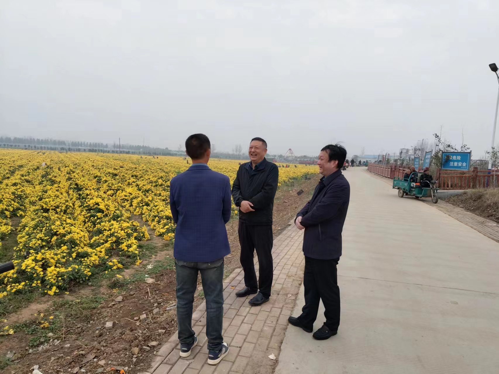 确山县刘店镇后山村一村一品描绘乡村振兴新画卷