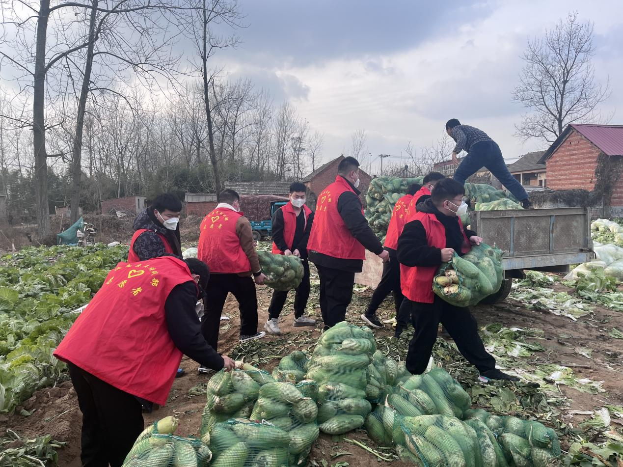 汝南县蔬菜助销伸援手爱心助农暖寒冬