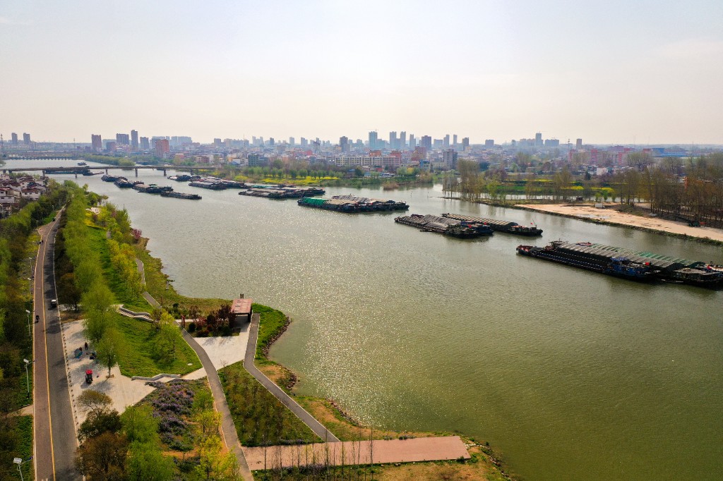 魅力槐乡 湿地公园