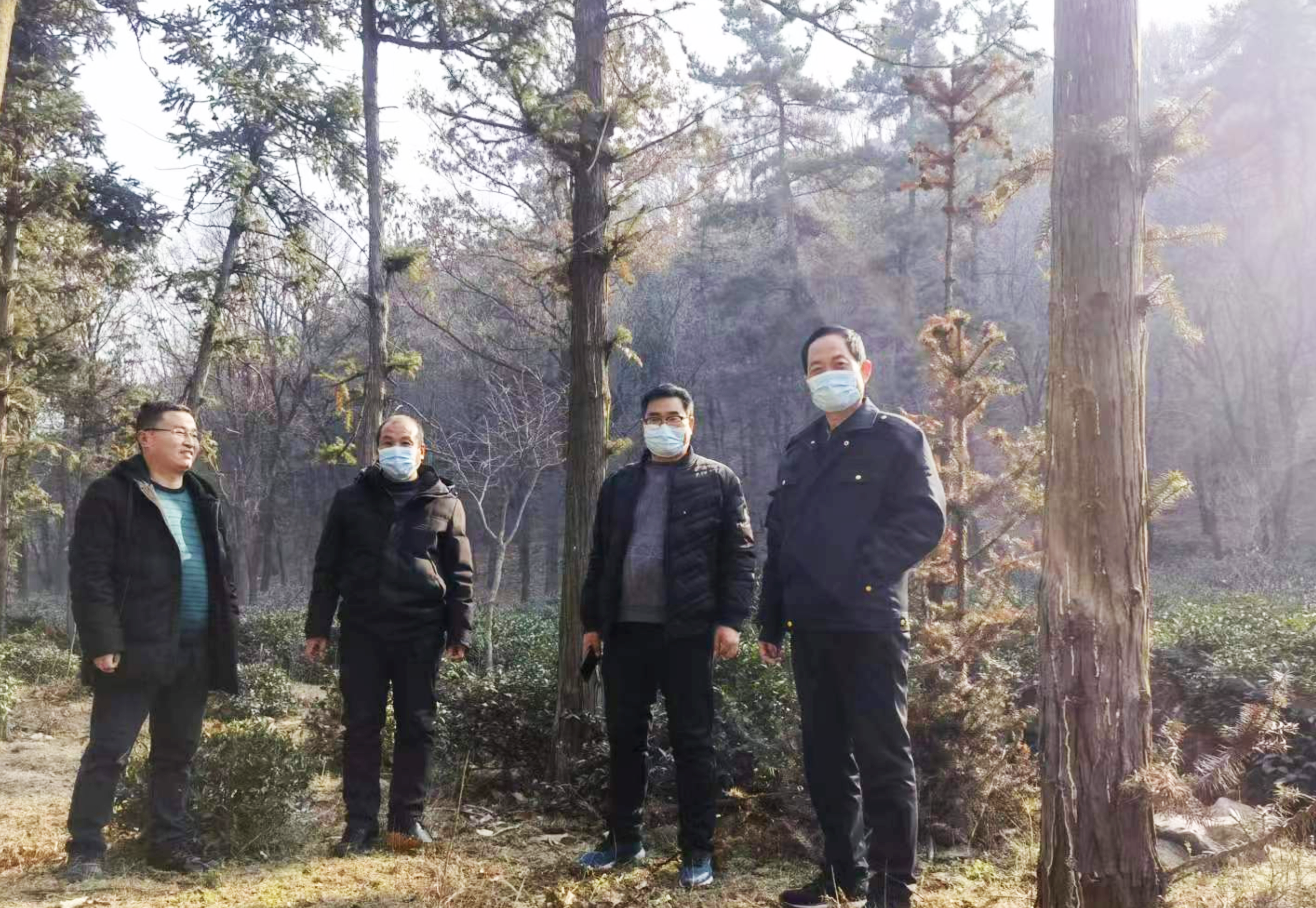 社旗县下洼镇全力做好冬季森林防火工作