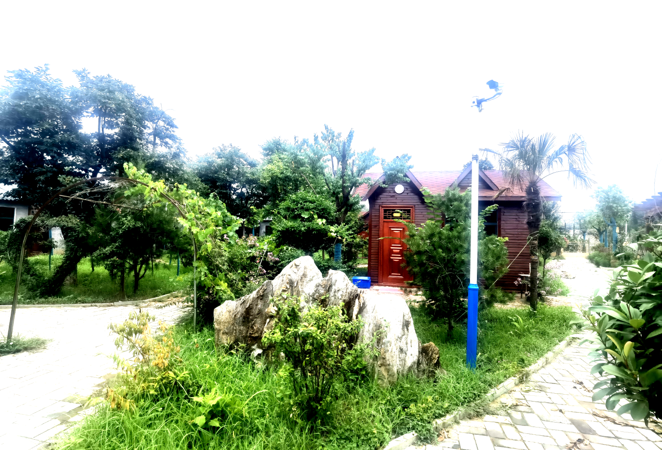 社旗县陌陂镇:推进河道生态修复 打造"生态宜居星"2(1)(1).png