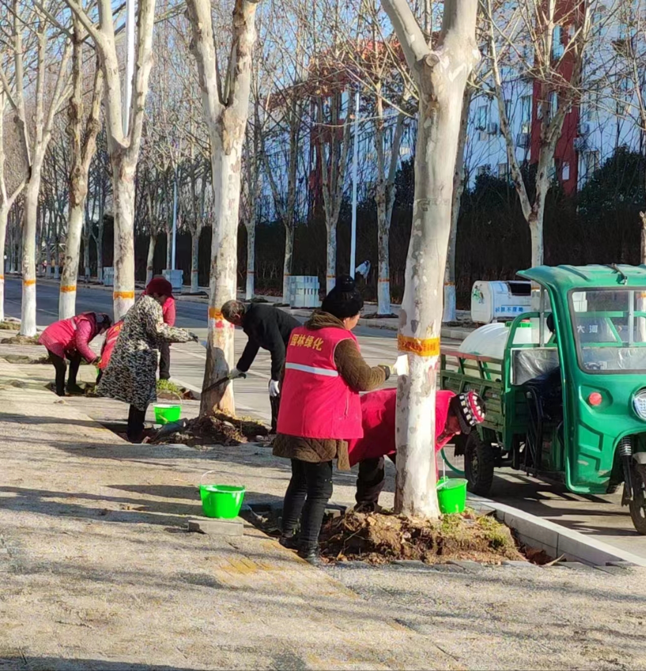 涂白1.jpg