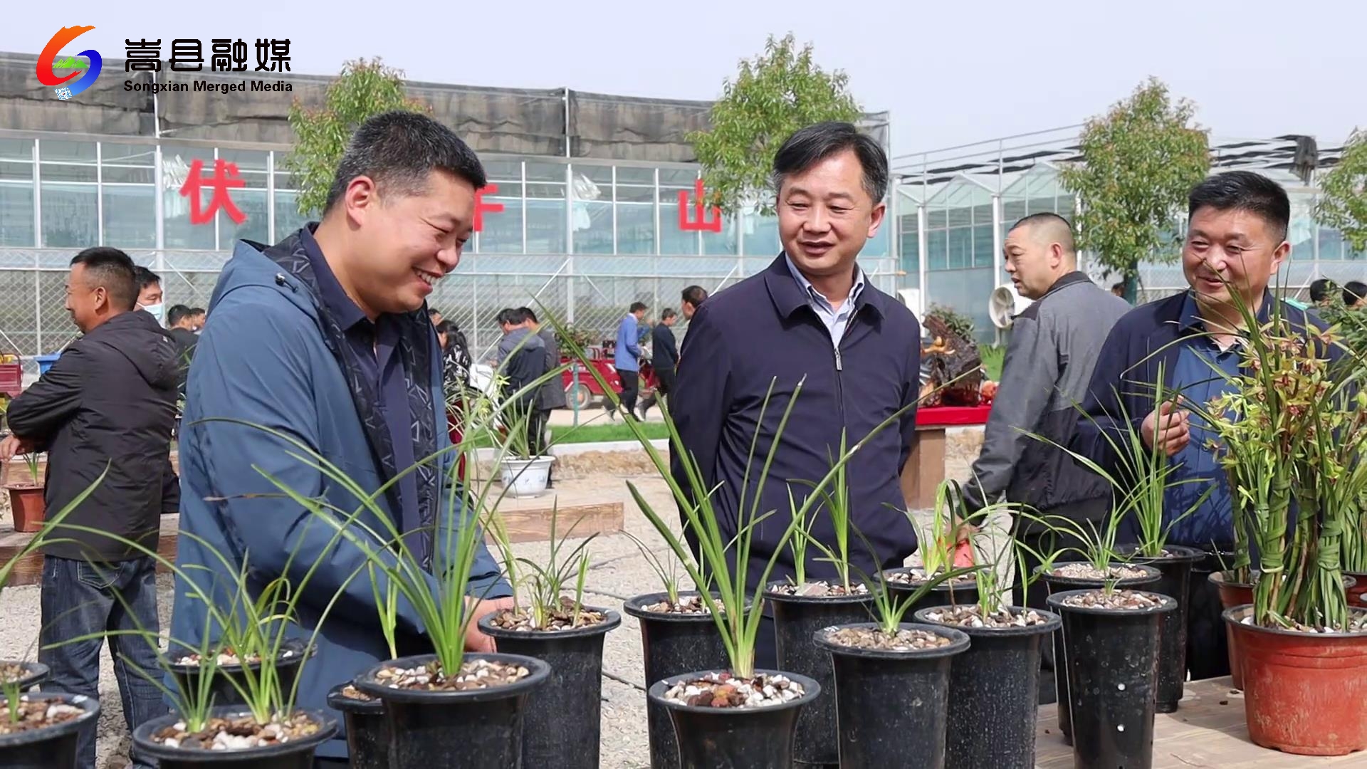 首页>头条>正文>孙东梅从事兰花养植已经15个年头,自从入驻兰花产业园