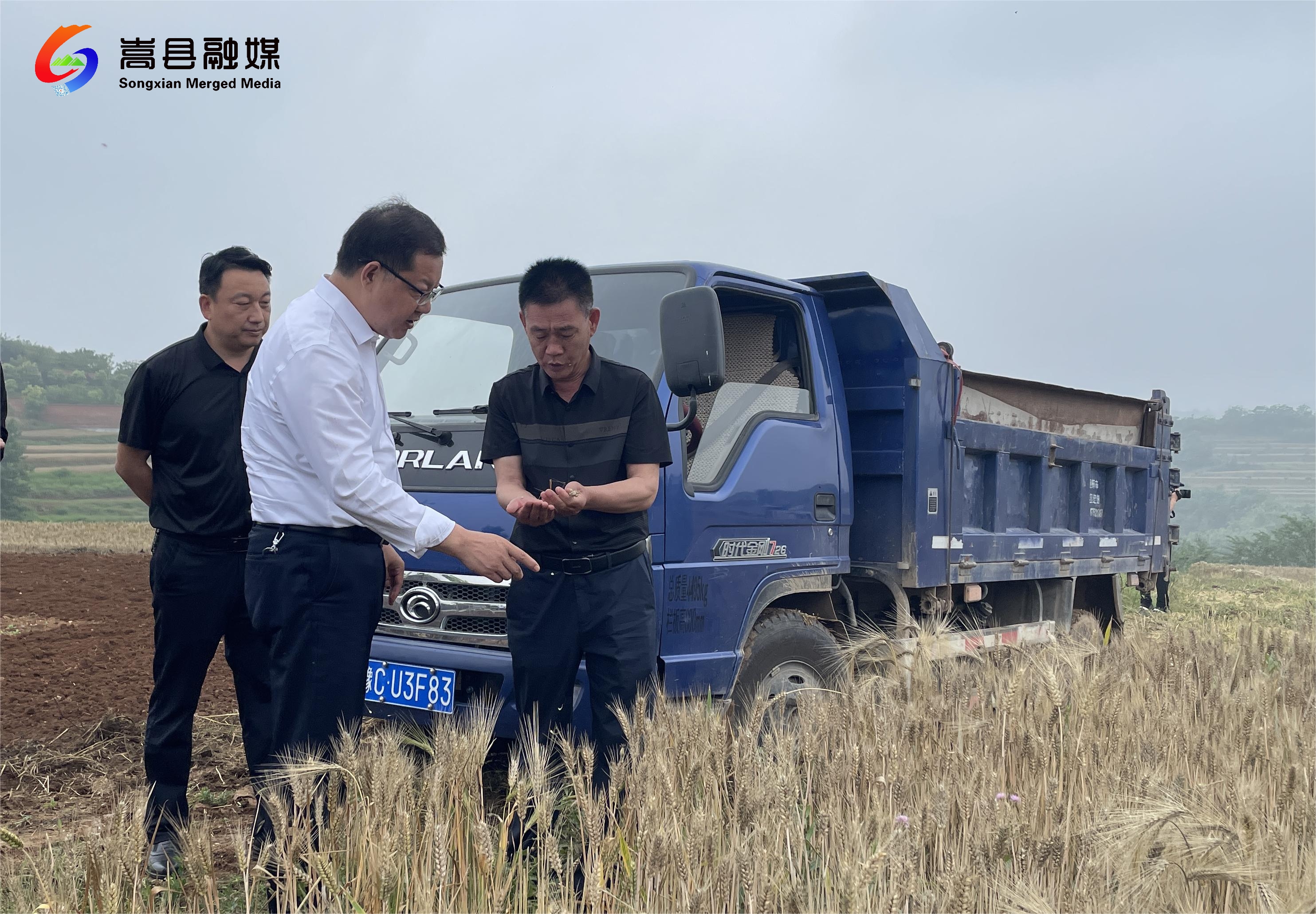 嵩县县委书记县长辛俊峰督导调研三夏麦收工作