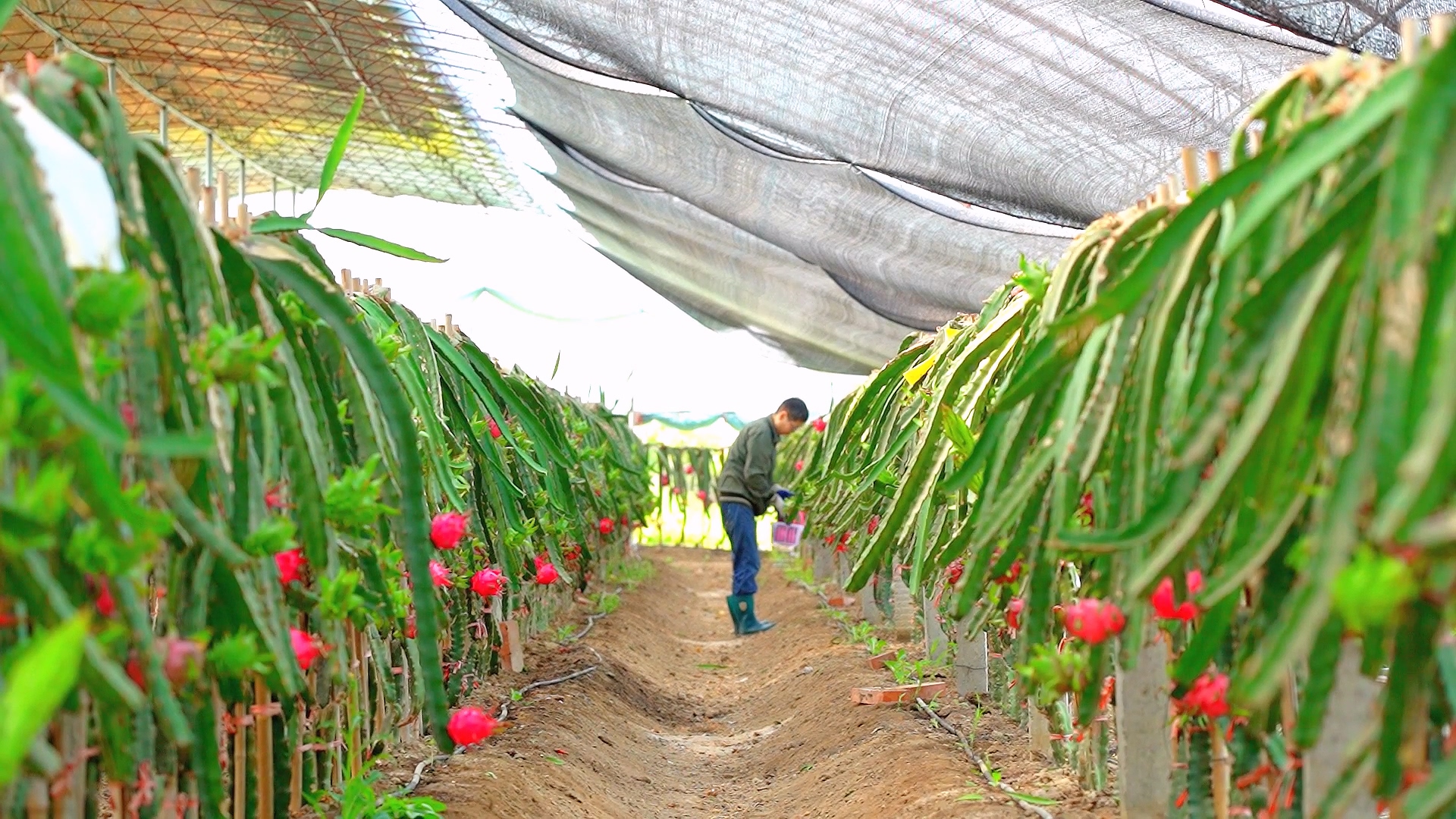 7月17日.mp4_000052.259.jpg 7月17日.mp4_000052.259.jpg