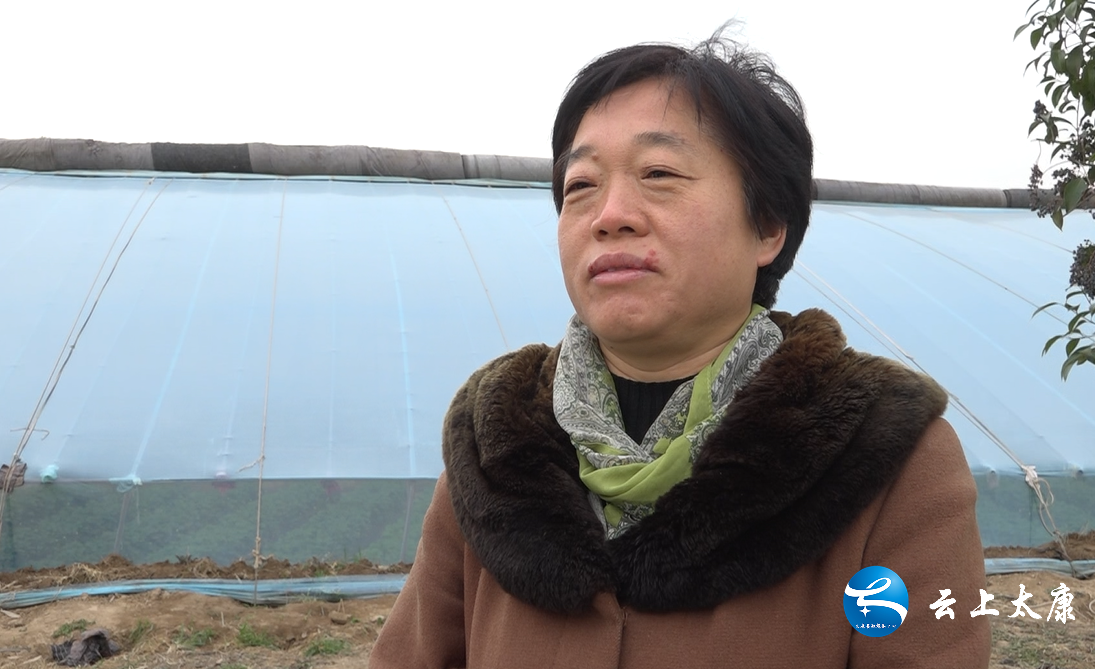 全媒体记者 张良 李振鹏编辑 张二凤审核:杨亚利 监制:李大鹏总监