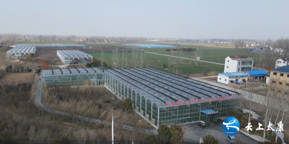 太康:特色种植成为中小学生春游首选-大象网