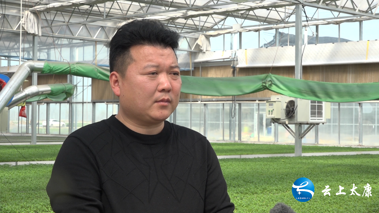 太康:写好"辣"文章 做好"辣"产业-大象网