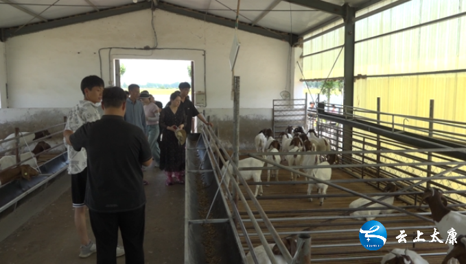 全媒体记者 张军编辑 张二凤审核:杨亚利 监制:李大鹏 总监制:万慧勤