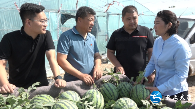 太康:服务千村走基层 助农销售暖民心