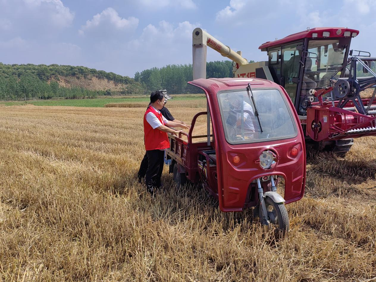 桐柏县大河镇:志愿服务到田间 全力助农保丰收