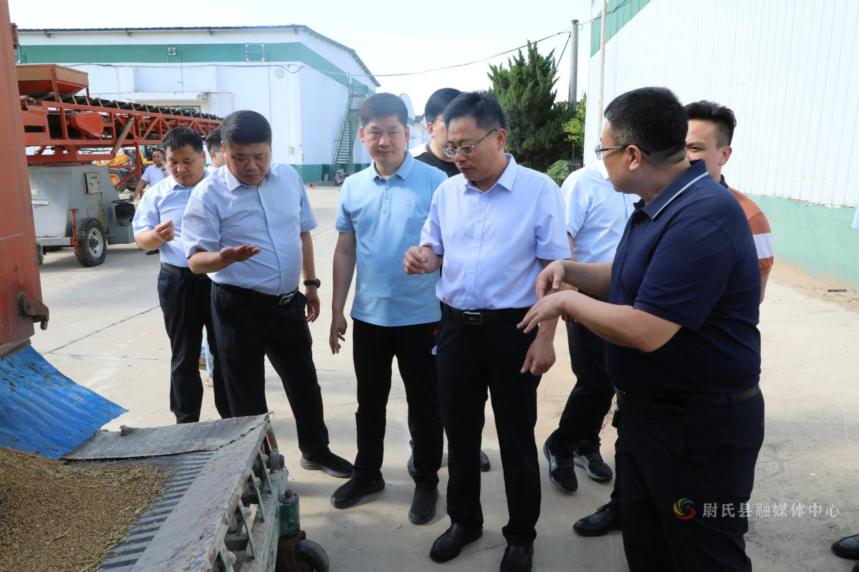 尉氏县县长陈志刚调研夏粮收购工作