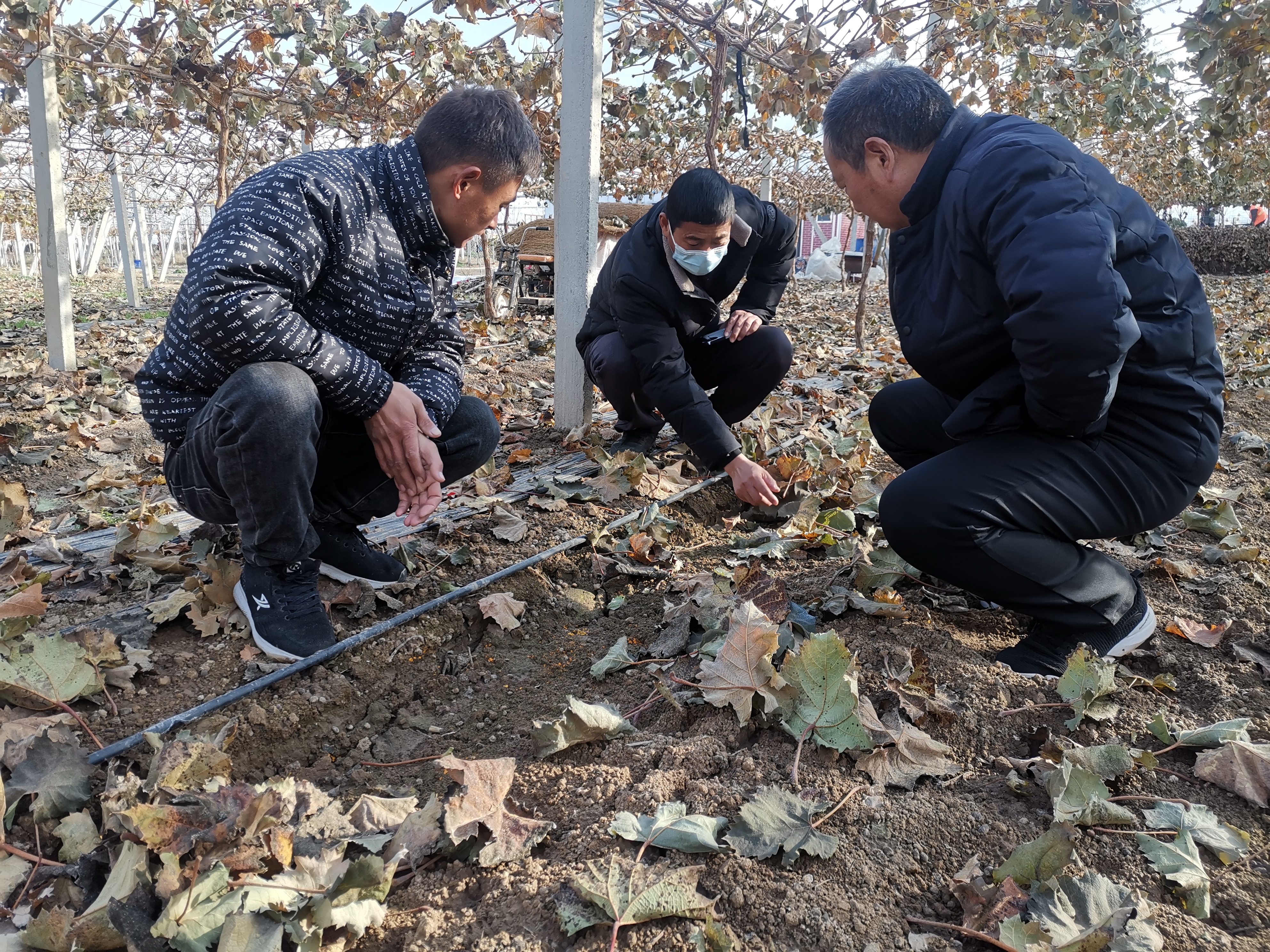 微信图片_20221202103101.jpg
