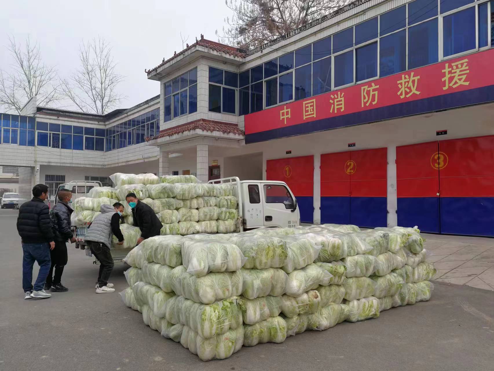 夏邑县会亭镇千棵白菜表真情