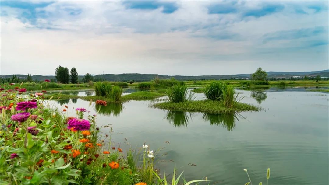 淅川汤山湿地公园图片