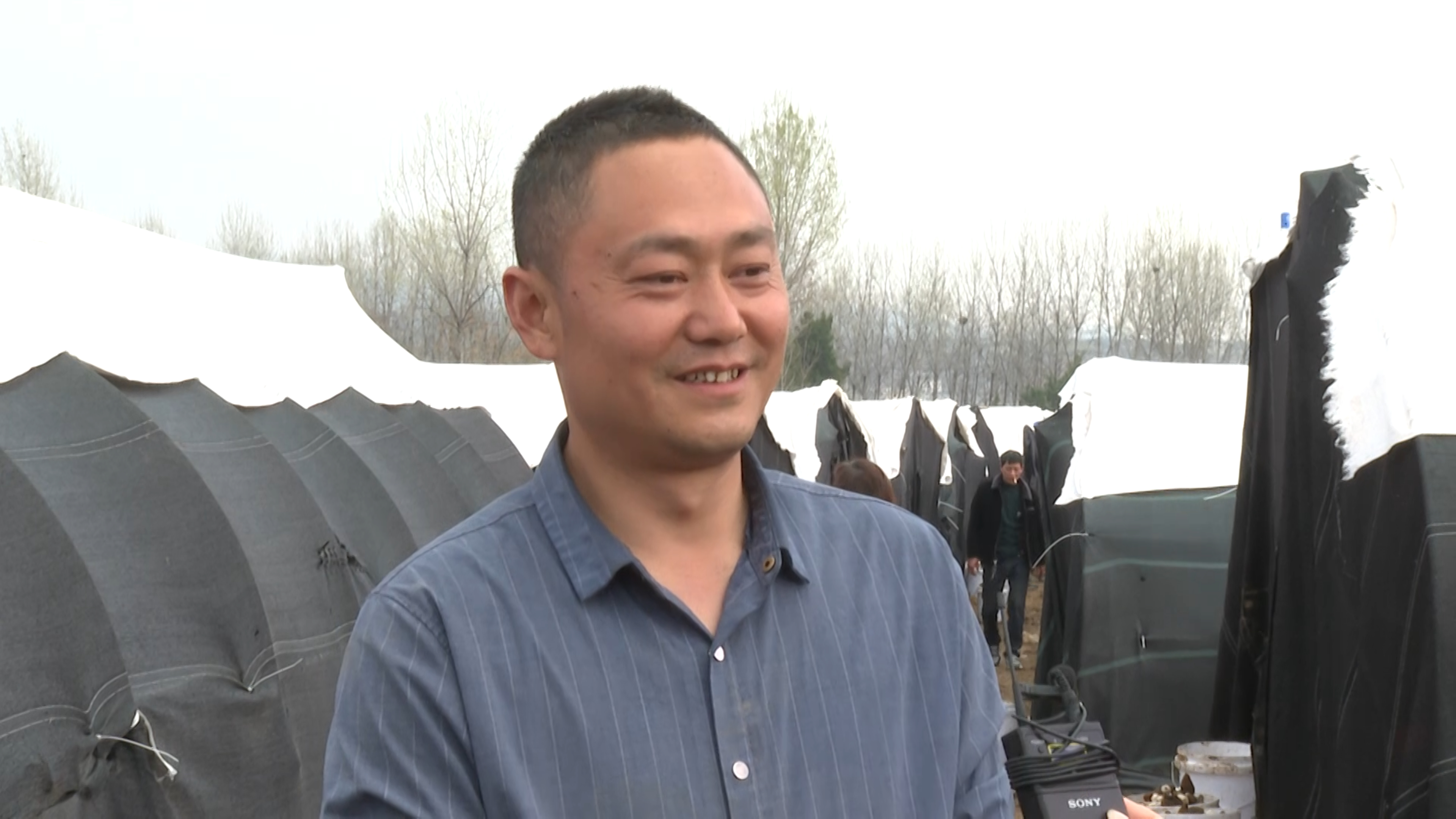 淅川县荆紫关镇:特色产业铺就致富路-大象网