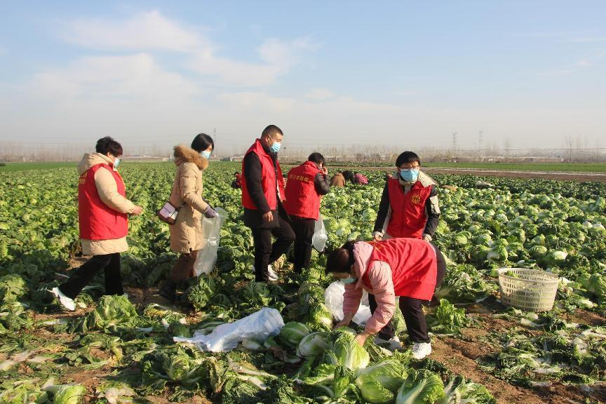 西华县总工会开展爱心助农活动