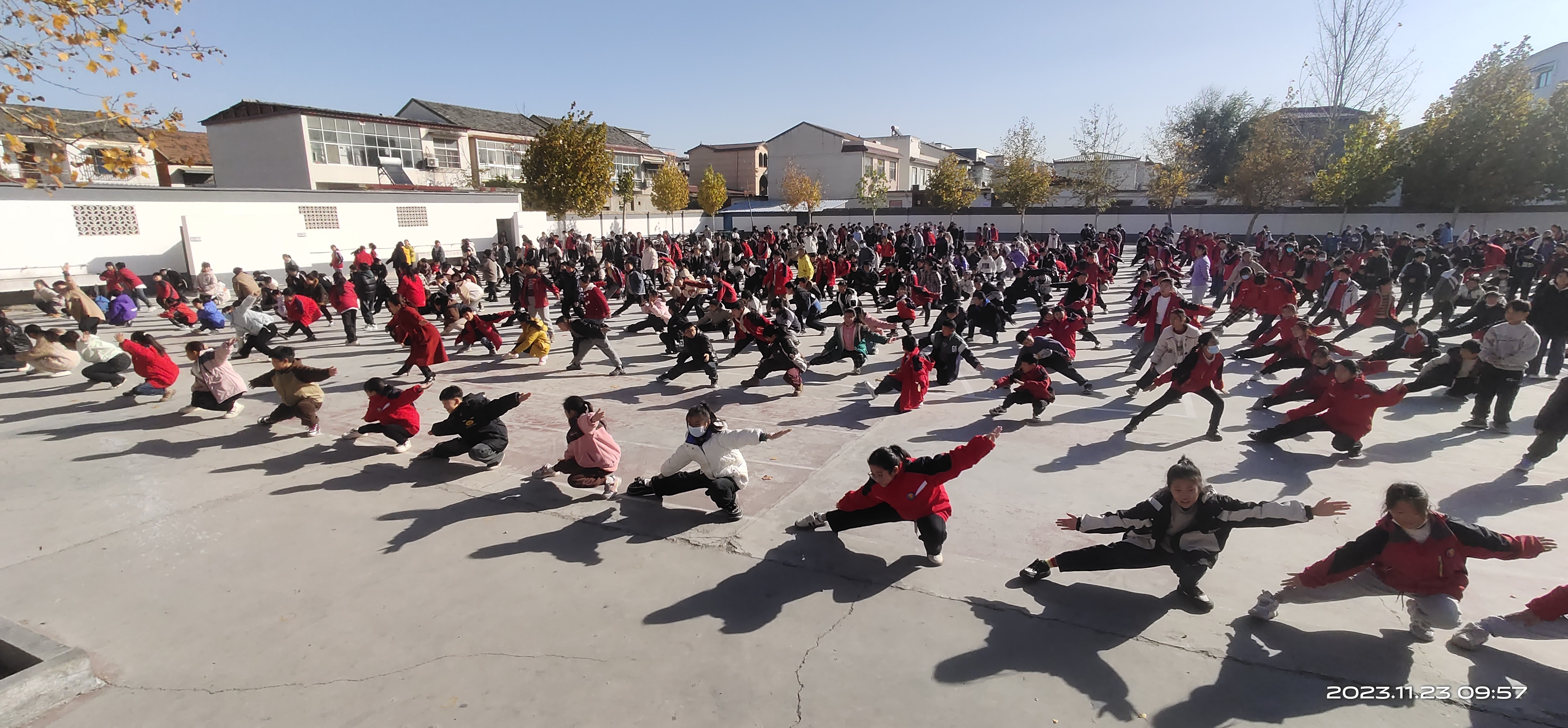 小学生武术图片图片