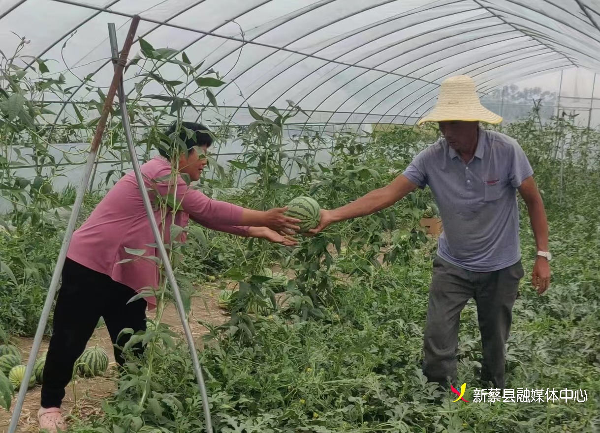 微信图片_20230529160328.jpg