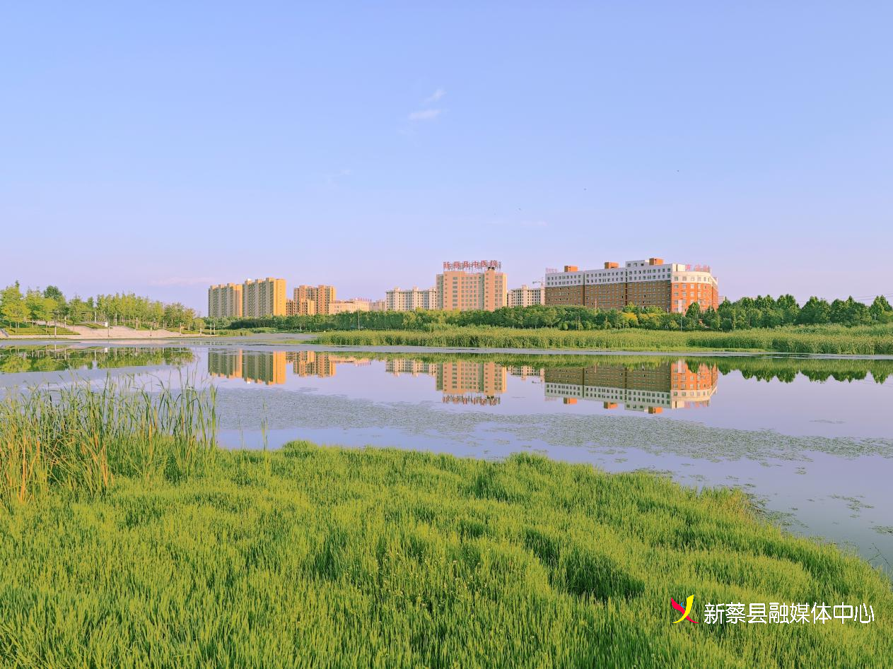 新蔡梦幻马卡龙清甜夏日幻想