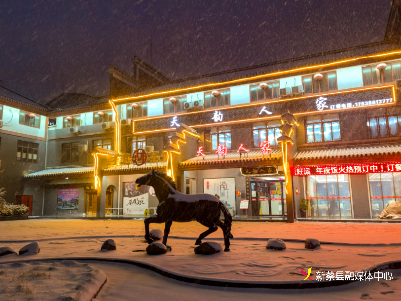 新蔡雪后的县城