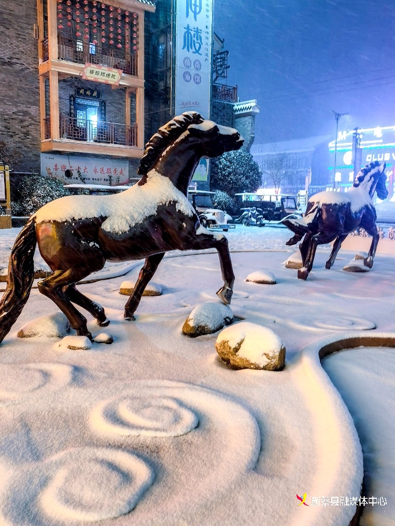 新蔡雪后的县城