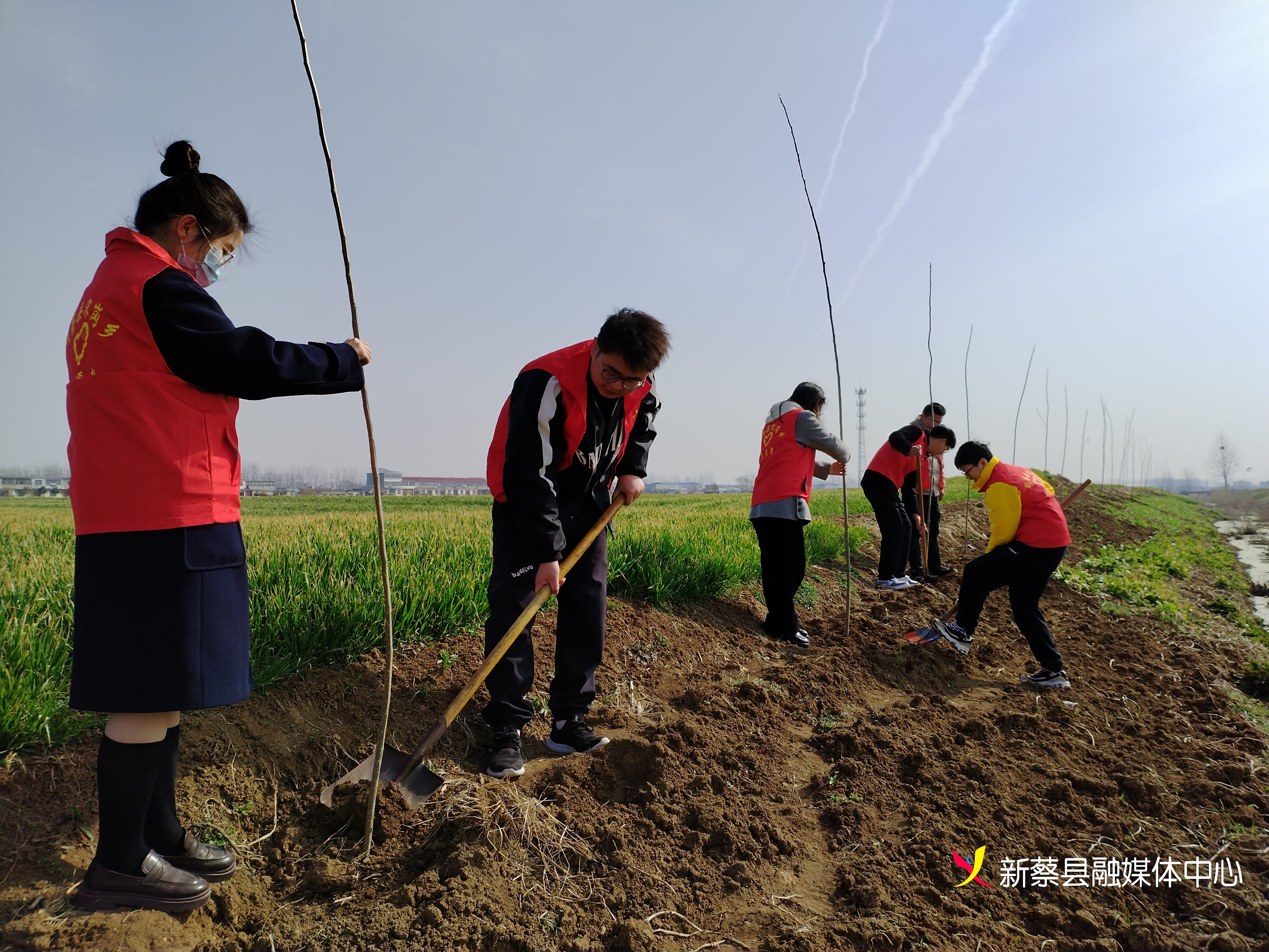新蔡县宋岗乡:三月学雷锋 植树我先行-大象网
