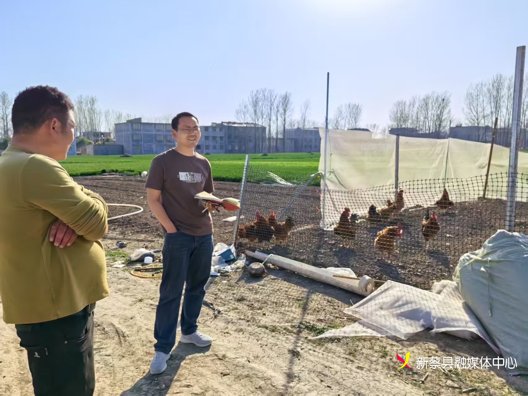 新蔡县棠村镇:葡萄架下土鸡走 种养结合促增收