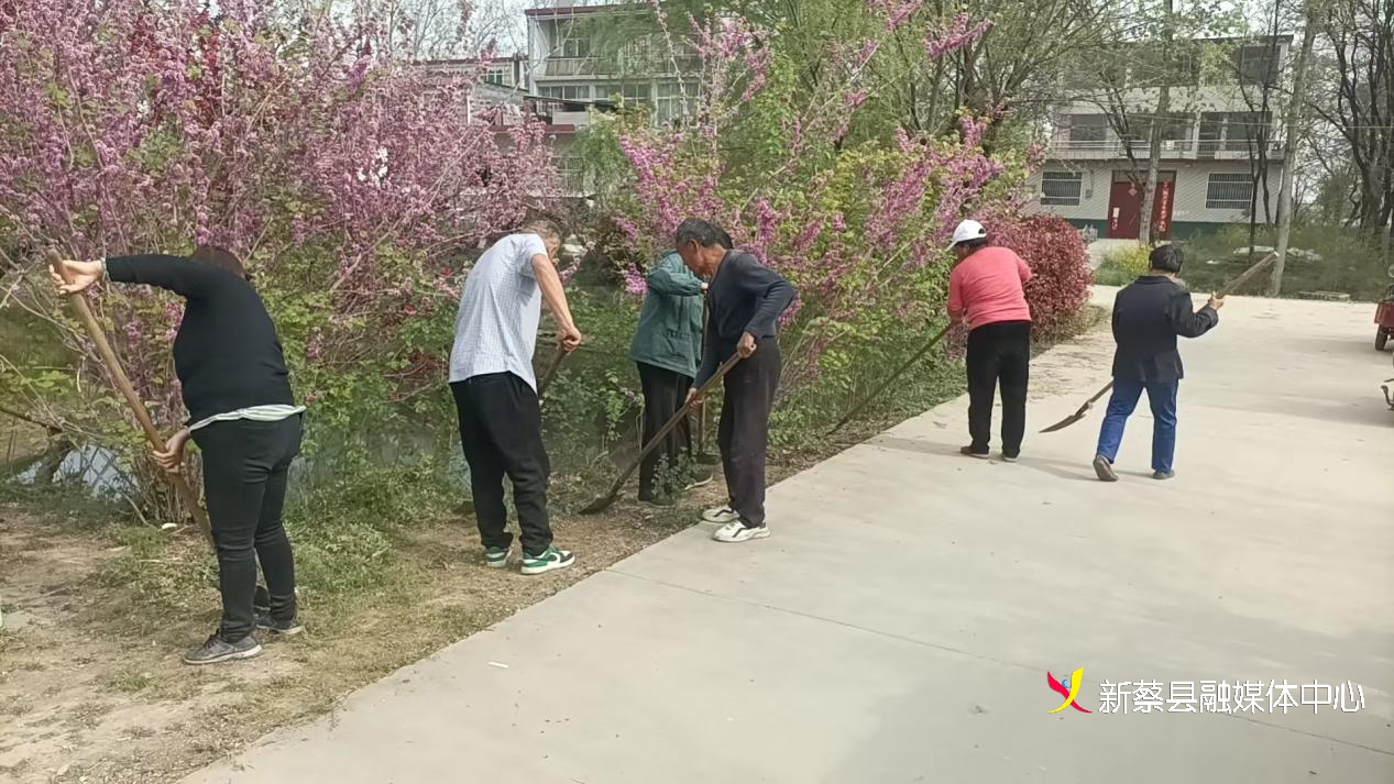 新蔡县棠村镇:人居环境整治绘就乡村新画卷