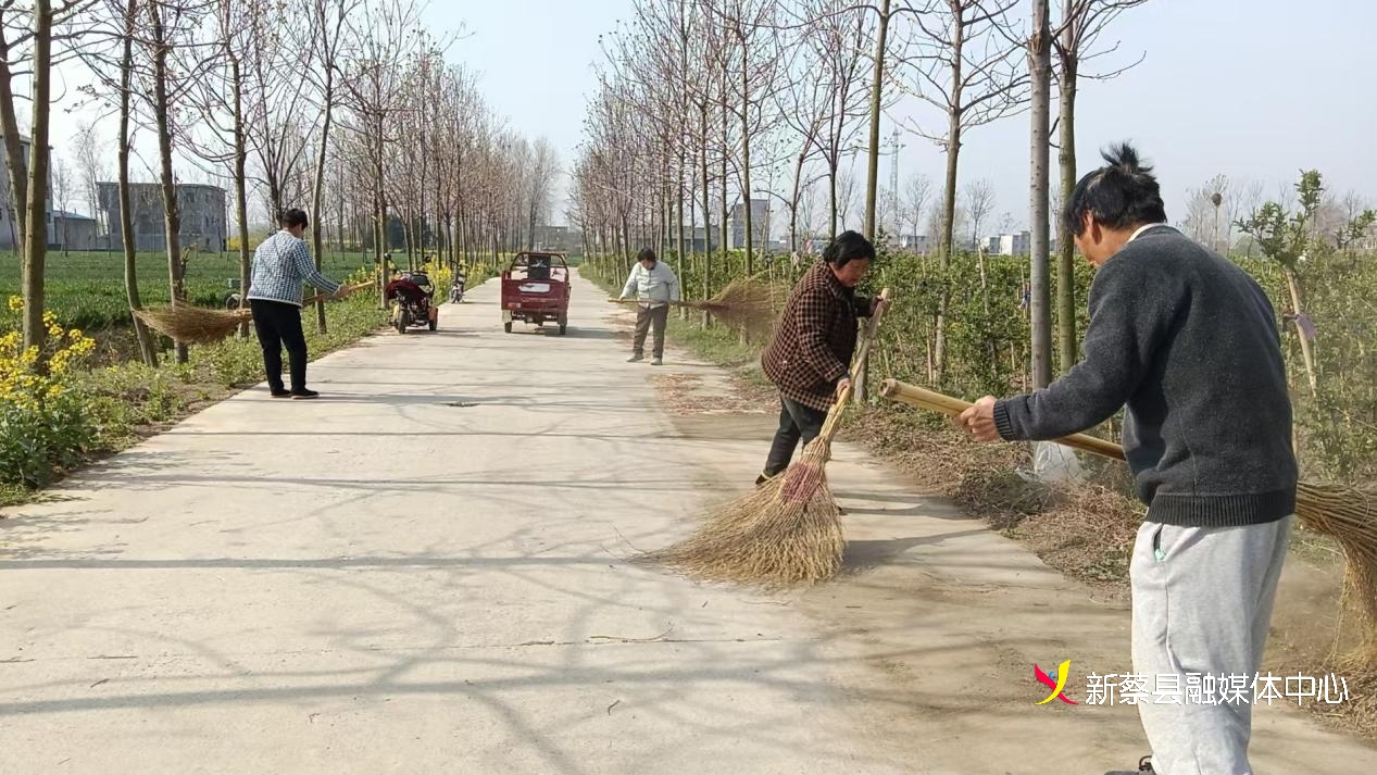 新蔡县棠村镇:人居环境整治绘就乡村新画卷