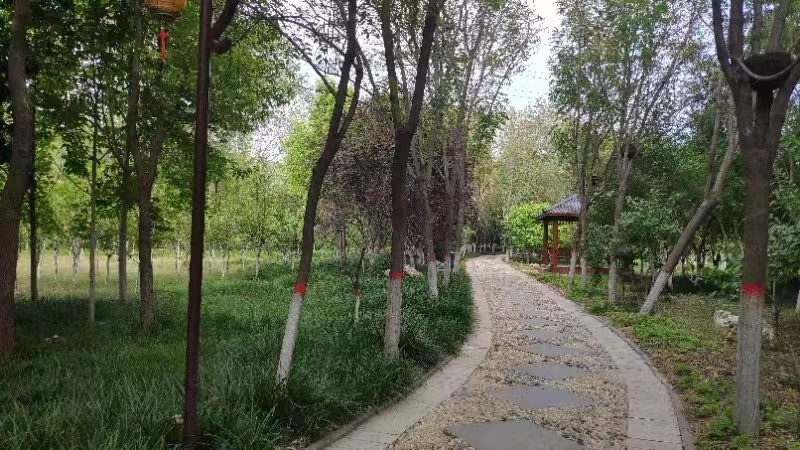 刘禹锡.jpg 刘禹锡.jpg