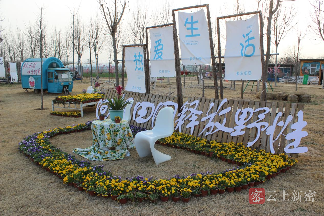 公司(一)简介:河南田缘兴生态农业有限公司位于新密市岳村镇任岗村