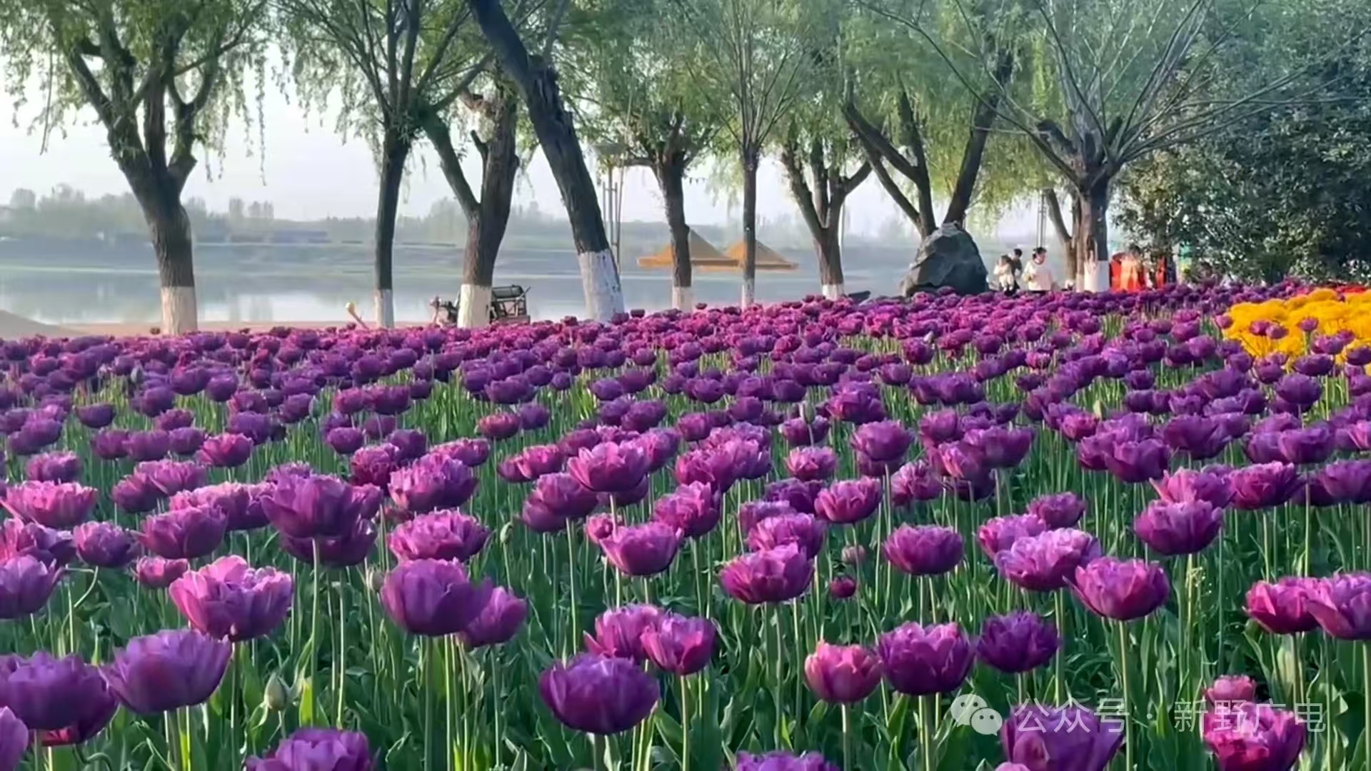 微信图片_20250411092127.jpg