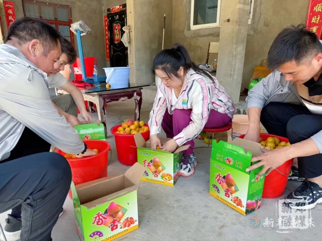 收获"杏"福果!村民致富心里甜