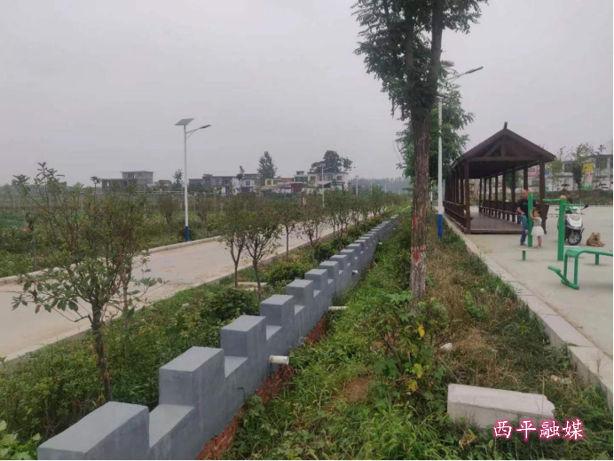 西平县柏苑街道扮靓美丽乡村助推创建生态宜居星