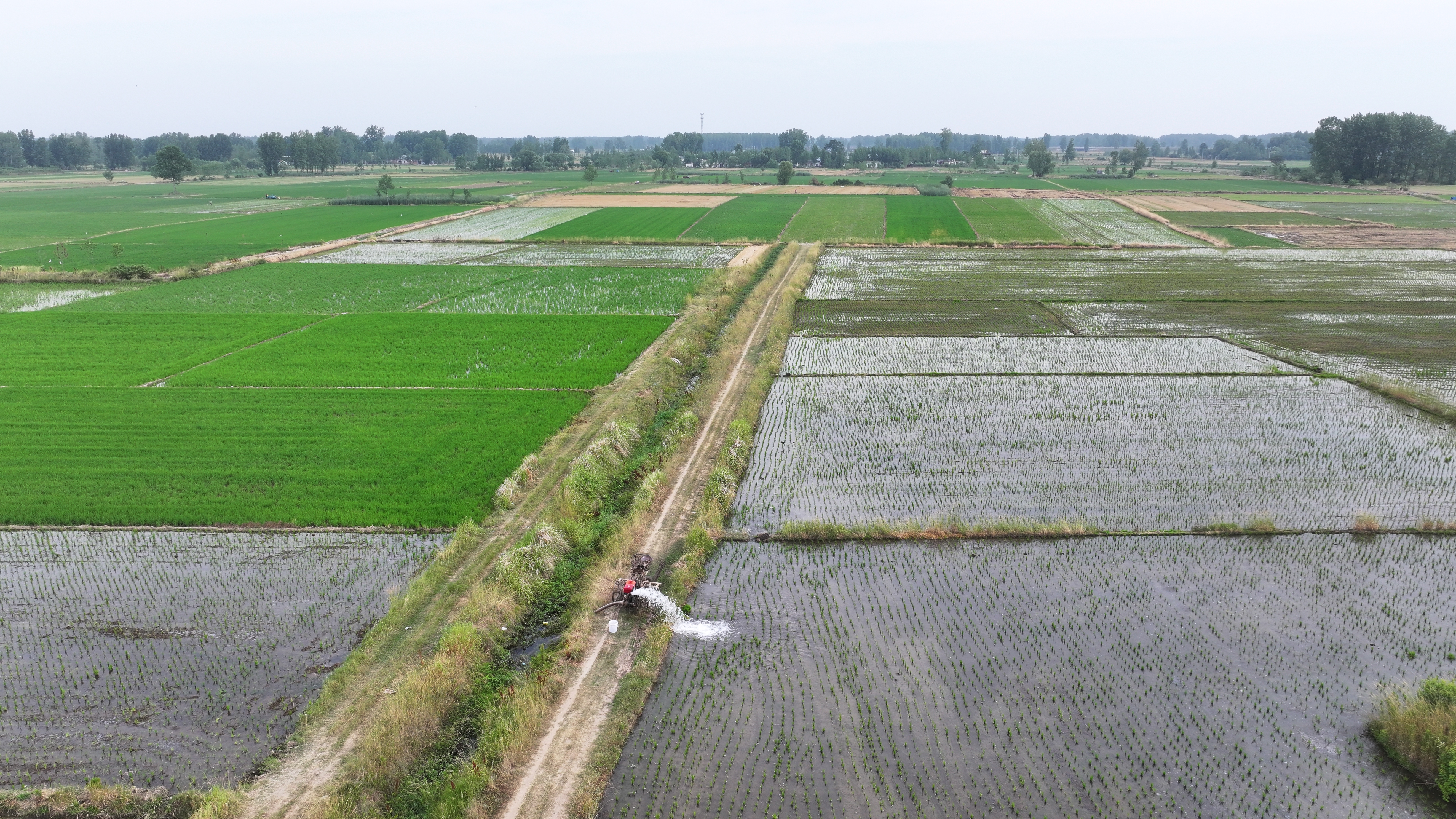 DJI_20240613084115_0015_D.JPG