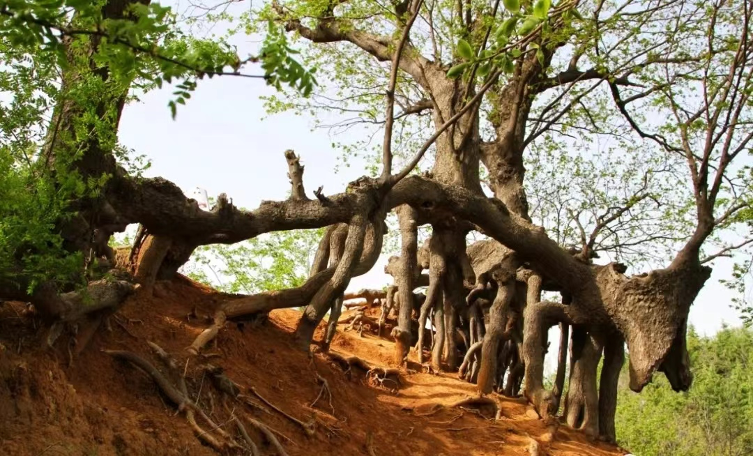 &skey=@crypt_9e705b31_d5f2edf25155f6e5318c7a7181d96032&amp