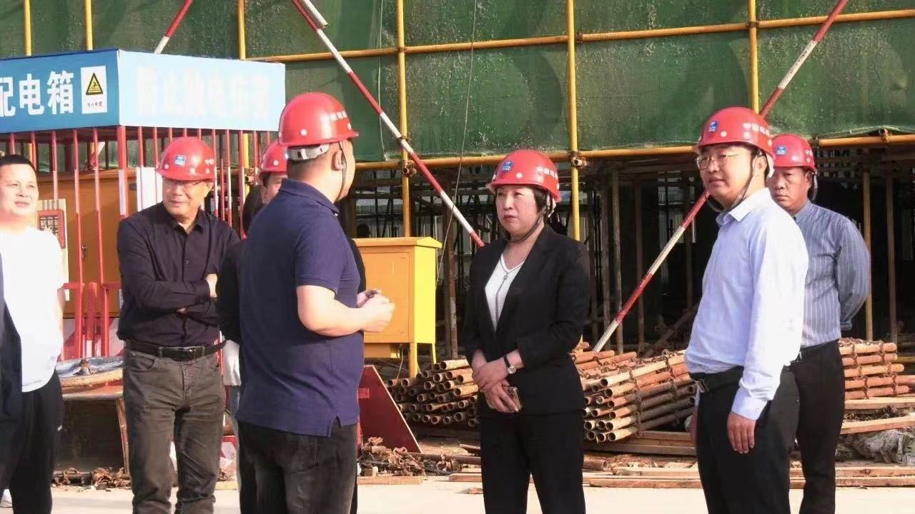 宜阳县县长张丽娟带队到泉盛科技产业社区项目建设现场调研