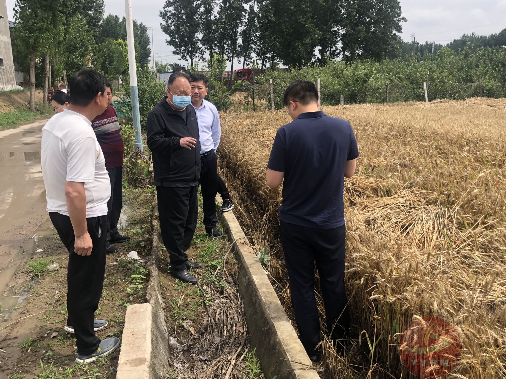 原阳县委常委,宣传部部长,副县长王东发就"三夏"麦