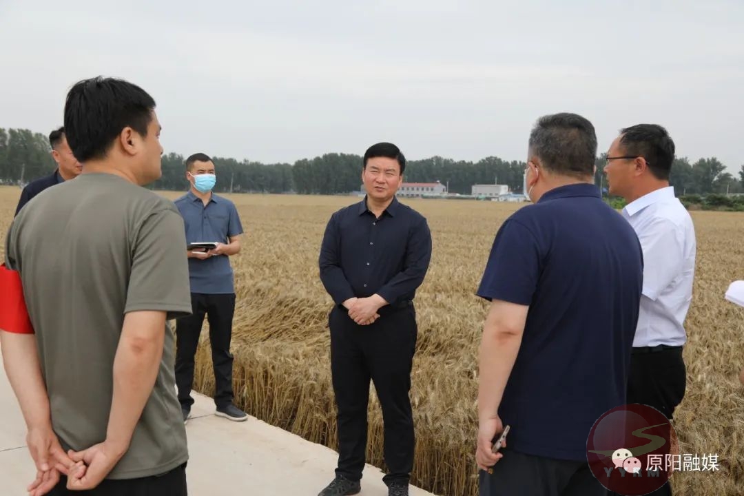 首页>头条>正文>在河南省大成种业有限公司种植基地,蒋庄乡乔连山庄村