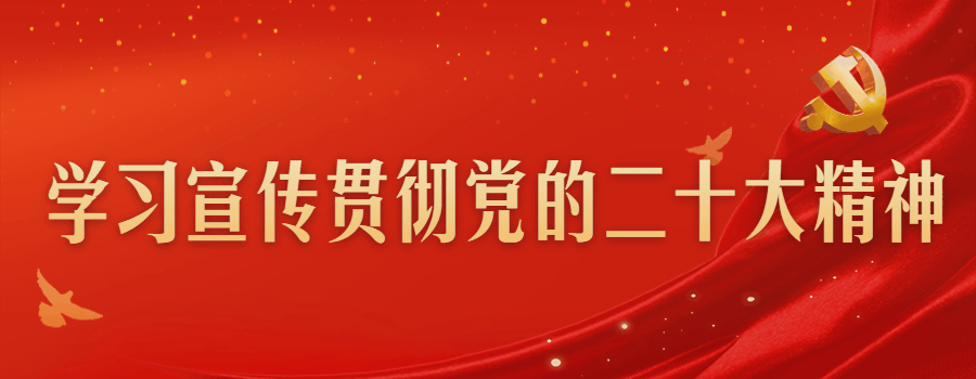1024二十大精神新11.gif
