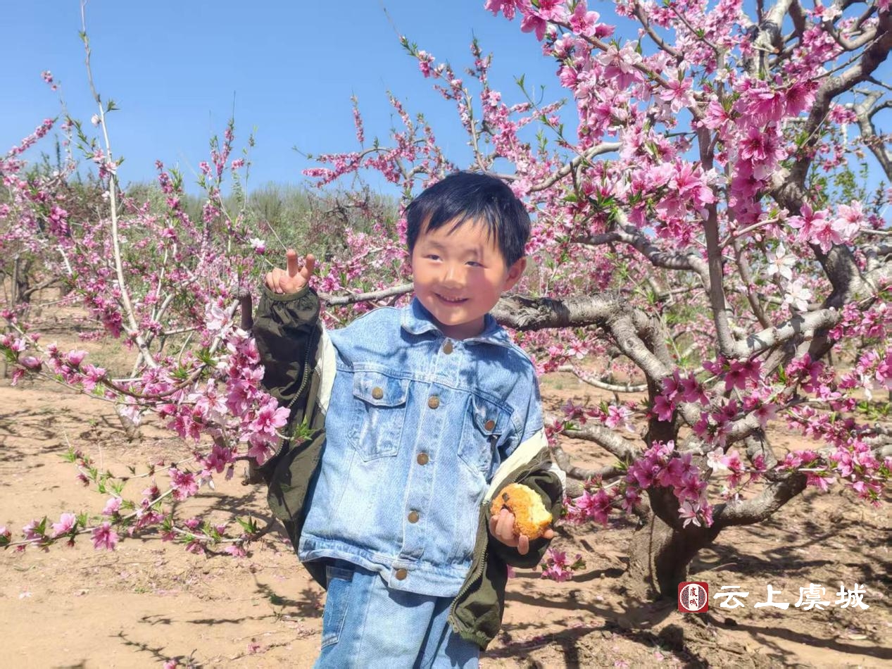 张集镇：“赏花+订单”激活花样经济2.jpg