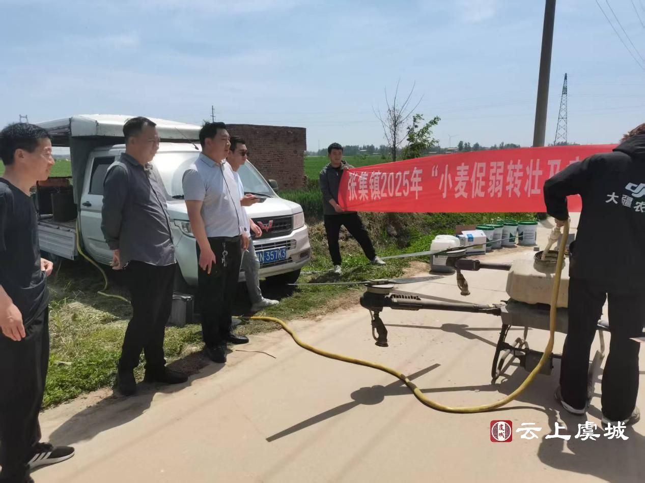 张集镇：“一喷三防”助推小麦稳产增收2.jpg