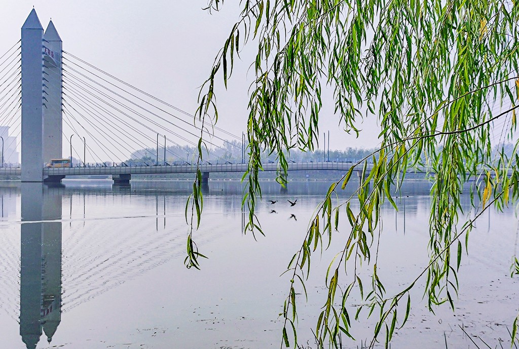 河南正阳初冬景色依然美