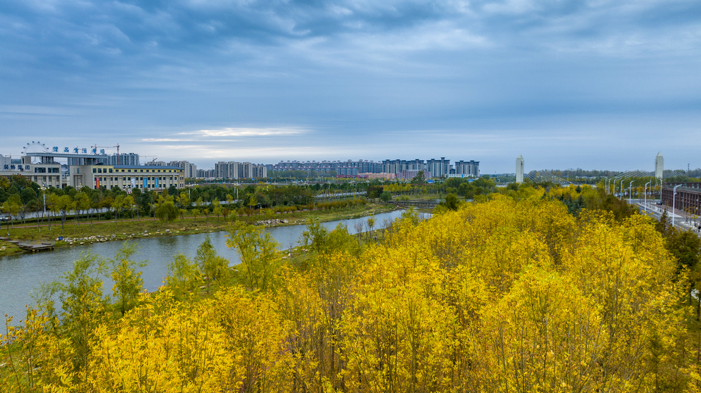 图说河南正阳雨后清新初冬如画