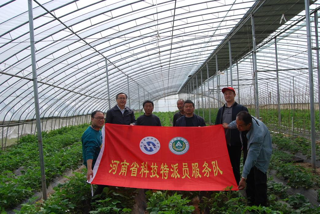 中牟县农委协同省科技特派员送"技"到田间-大象网